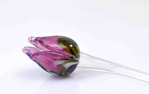 Loranto + Tulp, multicolor-roze